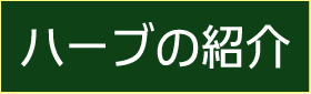 ハーブの紹介